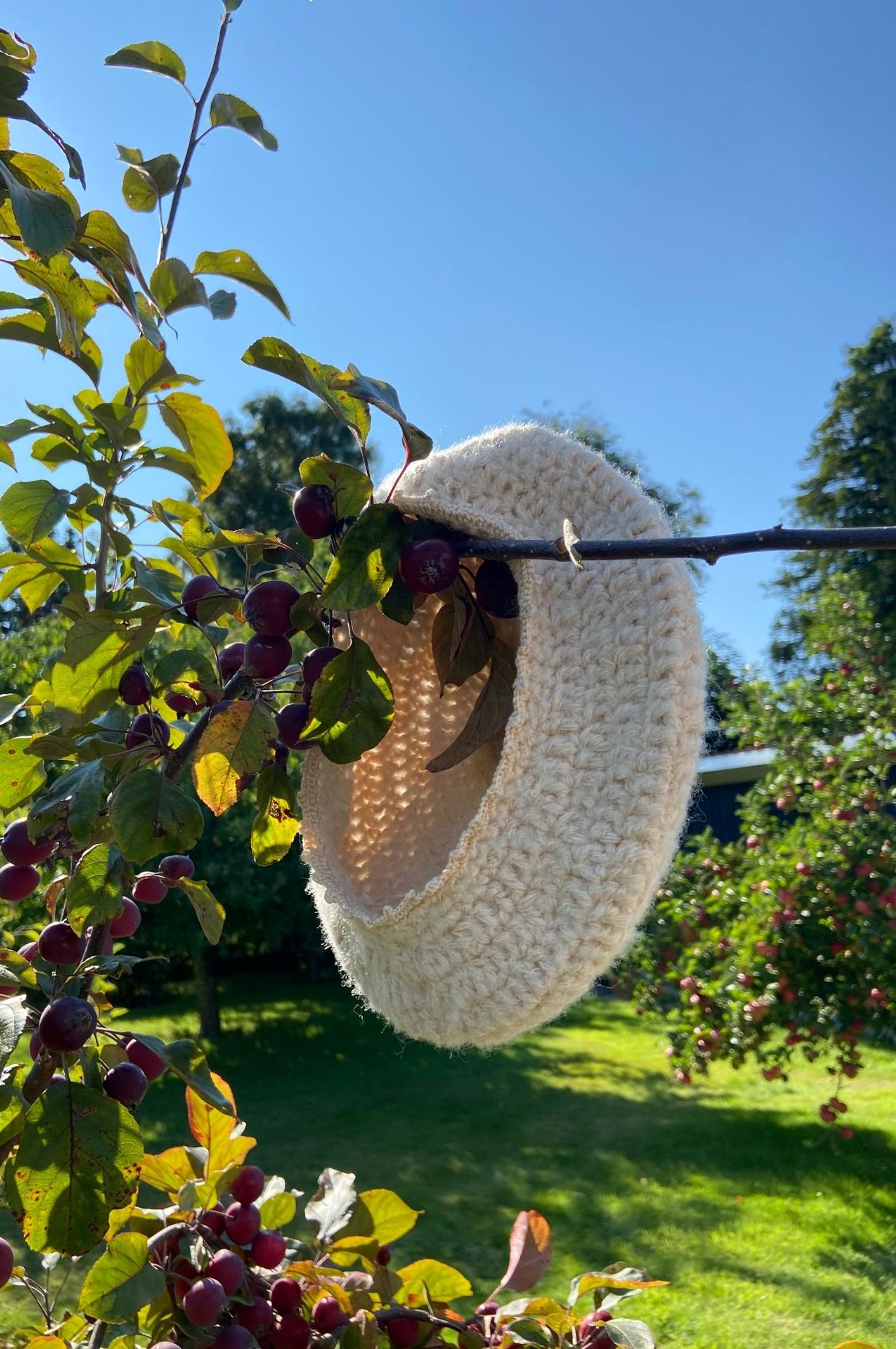 PLUMS beret AYNI universe