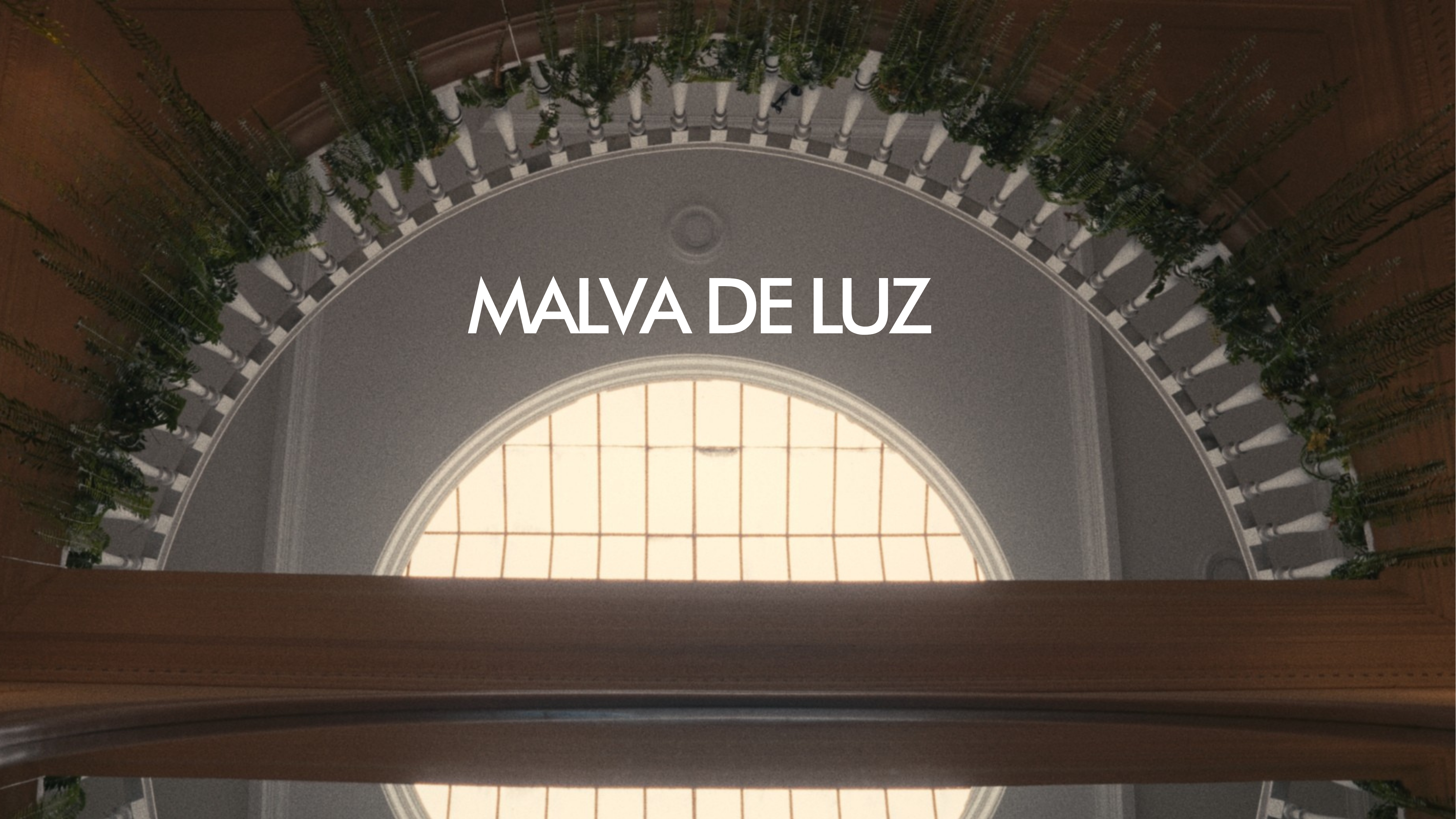 Spring Summer 27 Malva de Luz